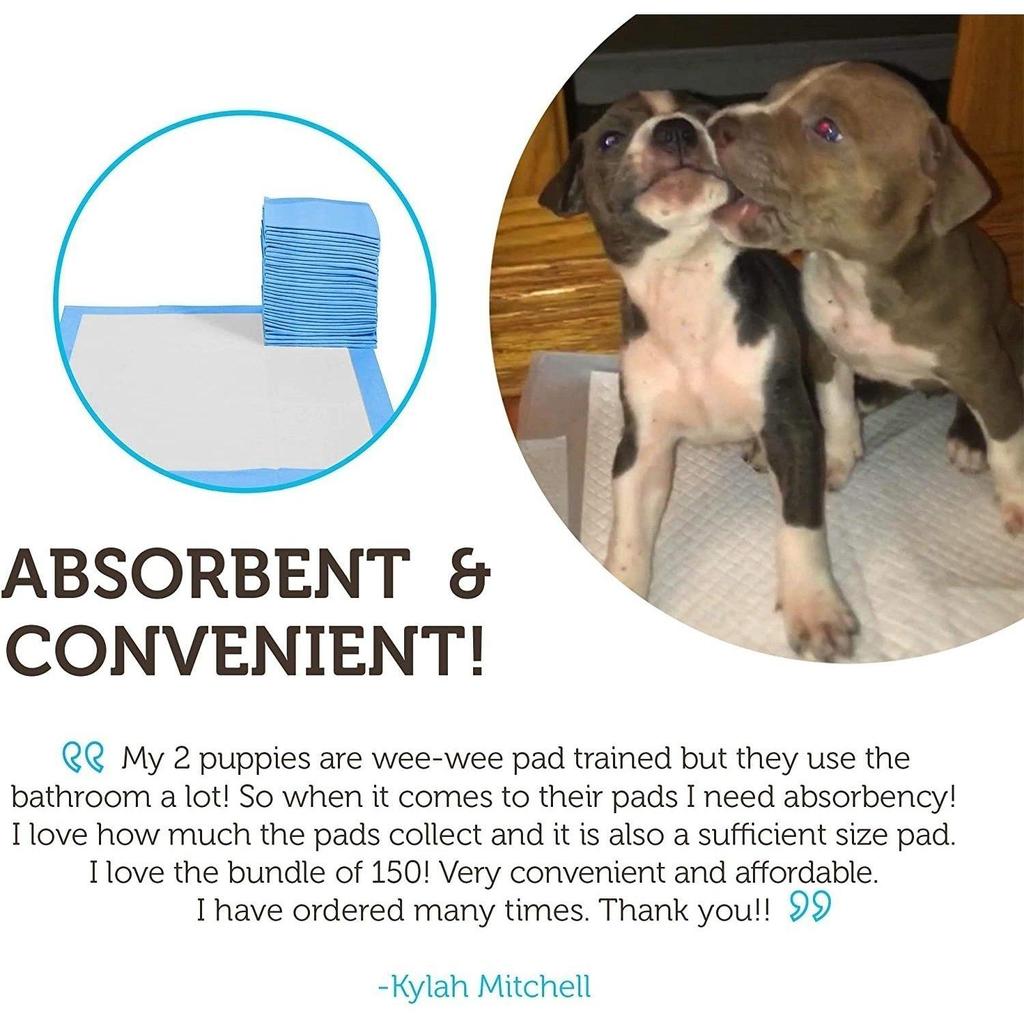 50/100-Pack: Puppy Pads Dog Pee Pad for Potty Training Dogs & Cats Pet Diapers