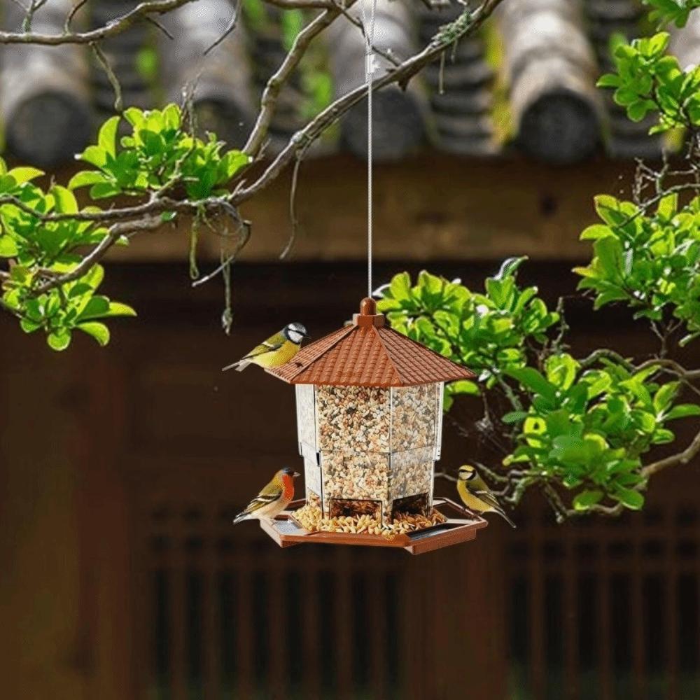 Transparent Hanging Bird Feeder Squirrel Proof Bird Food Container Bird Feeding Station  Backyard