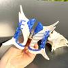 Fish Tuna Hair Claw Korean Style Marine Organisms Shark Clip  Headdress