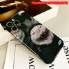 Ginger Cat in Hoodie, Yawning with Fangs All inclusive film hard phone case, compatible with iPhone 18 Pro Max 17 16 15 14 13 12 11