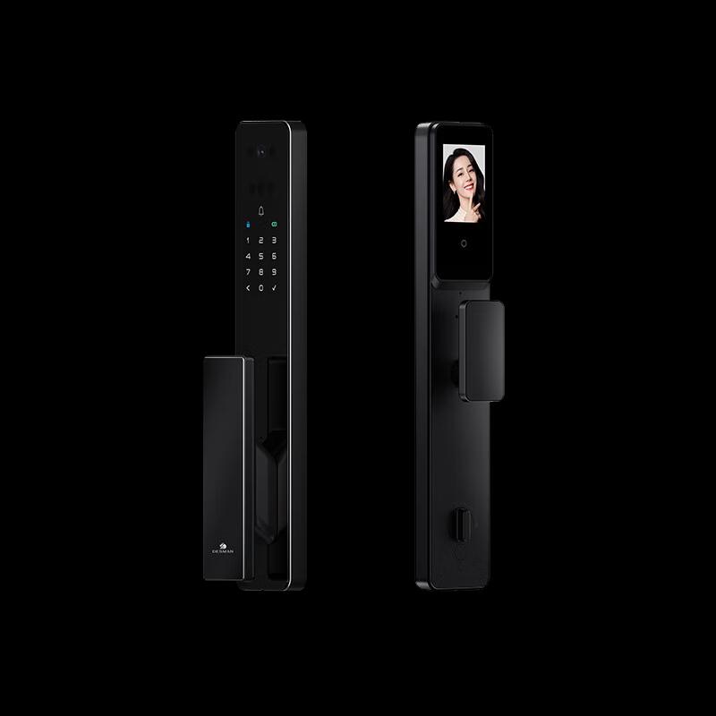 DESMAN Q2FV 3D Face & Palm Vein Recognition Smart Lock