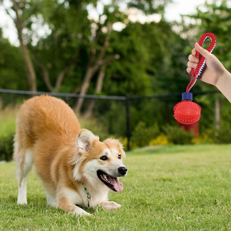 Elastic Ball For Dogs Rope Chew Teether Game Interactive Dog Toy For Animal Indoor Outdoor Ground Living Room Beach Lake