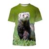 Summer 3D Printing Animal Cute Ferret T-shirt Men Women Casual Fashion Short Sleeve Oversized Round Neck Tees Children T Shirts