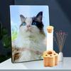 Cat Whisker Jar Mini Glass Vase For Whiskers Cat Whisker Holder Elegant Memorial Gift For Pet Lovers