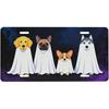 Galaxy Blessed Front License Plate for Women Car Vanity Plates Decorative Aluminum Metal Cute Novelty License Plate Cover for Men 6x12 Inch (4 Holes)