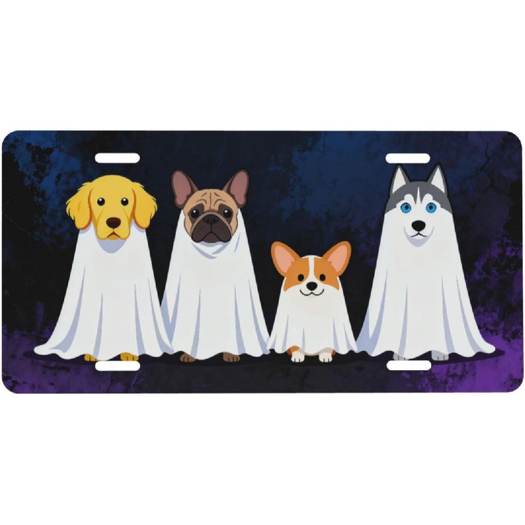 Galaxy Blessed Front License Plate for Women Car Vanity Plates Decorative Aluminum Metal Cute Novelty License Plate Cover for Men 6x12 Inch (4 Holes)
