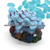 Pearl Scallop Shell Aquarium Bubbler Ornament with Air Stone Connector
