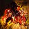 Ladybug Solar String Lights Outdoor Garden Decor With Led Bulbs For Patio And Yard