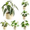 Elegant Artificial Plants Bonsai Evergreen Artificial Fern Leaves  Home Garden