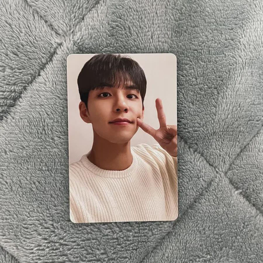 

Day6 One-pill Photocard
