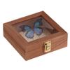 Wooden Keepsake Storage Box Multi-Purpose Cash Storage Organizer Necklace Display Case With Clear Acrylic Lid For Home