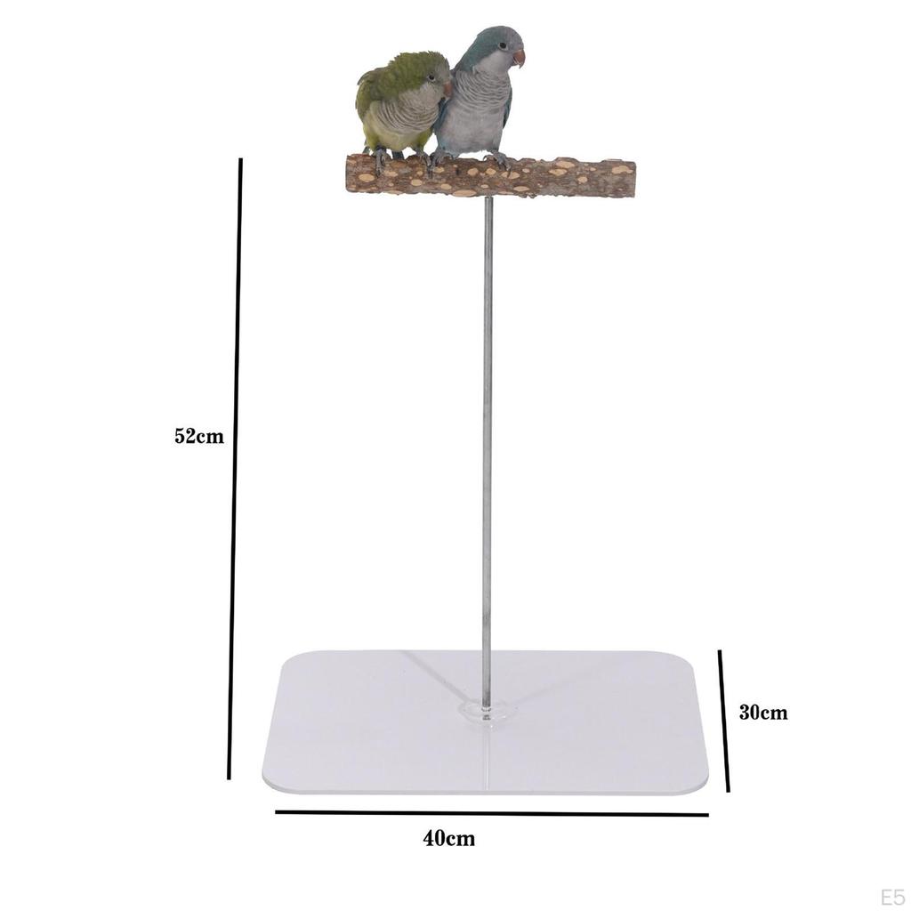 Bird Perch Stand Play Gym Playpen Practical Chewing Biting Toy Playground