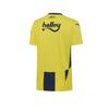 Fsk Home Jersey Fenerbahe Sk 2024/2025 Men's Home Jersey 77536001 Yellow