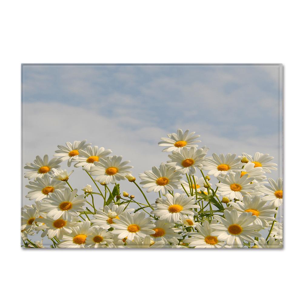 Abstract Daisy Art Large Carpet Living Room Floor Mat Colorful Pattern