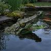 Buoyant Crocodile Head OpenMouth Decoration Textured Crocodilian Decoy Ornament for