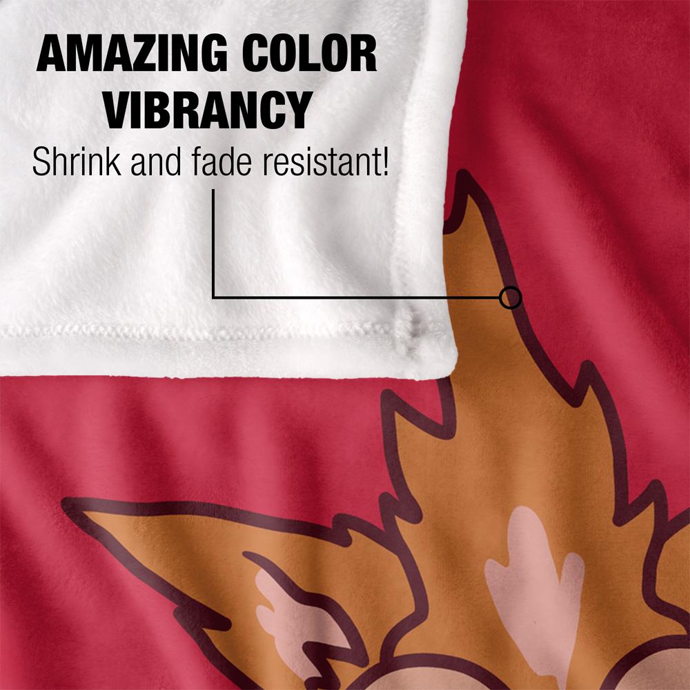 Rick And Morty Squanchy Blanket