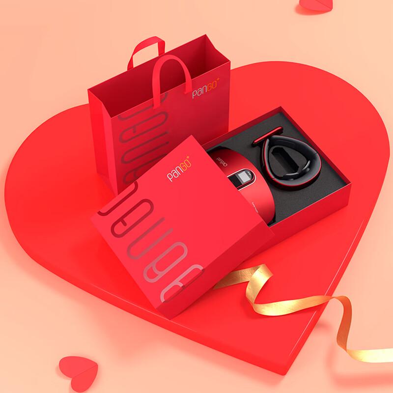 Pangao Smart Waist & Cervical Massager Gift Set