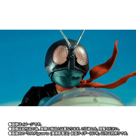 Bone Carving Kamen Rider Old 1 S.H.Figuarts (Real Method) No.
