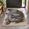 Realistic 3D Cat Floor Mat Diatomaceous Earth Bedroom Door Rug Cute Bathroom Carpet  Home Decor