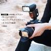 Godox Dealer Japanese Instruction Manual GODOX Thinklite TT600 Wireless Camera Flash with Flash and Godox X System Receiver [Authentic & Included]