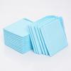 Small Dog Cat Super Absorbent Polymer Potty Urine Training Pad Disposable Leak-Proof Pet Toilet Mat   ODM