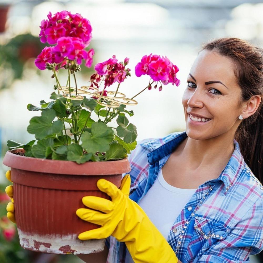 Iron Climbing Houseplant Stem Supports Indoor Plants Climbing Rack Hook Indoor Outdoor Plants