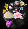 Mushroom Head Air Cushion CC Cream Natural Mushroom Head Foundation,Moisturizing BB Cream Makeup Long Lasting Matte Concealer