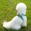 Pet Chest Strap Vest Type Breathable Dog Cat Leash Reflective Walking Dog Rope Pet Supplies