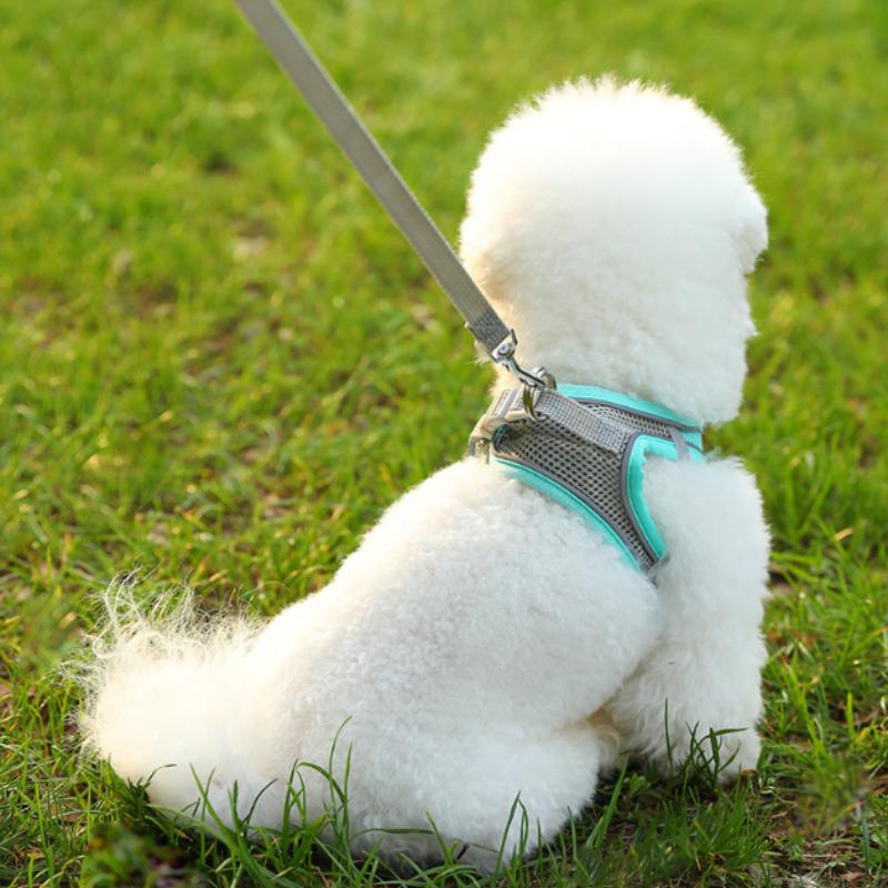 Pet Chest Strap Vest Type Breathable Dog Cat Leash Reflective Walking Dog Rope Pet Supplies
