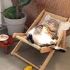 Produtos para animais – Móveis para animais de estimação