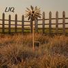 Artistic Outdoor Stake Vintage Rusty Cornflower Ground Stake, 24 Inch Metal Wire Art Decor, Rustic Garden Sculptures for Lawns Yard Patio Home