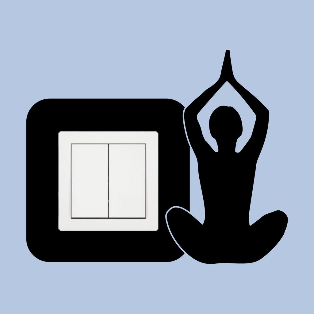 Protective Sticker for the Switch - Yoga