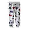 Sudadera y Pantalones para Niños Estilo Europeo y Americano Otoño 2024 - Tallas Pequeña y Mediana