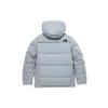 The North Face Daunenjacke Winter Herren Grau NJ1DM75B