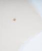 STARRYEYED Renewal Cashmere Mock Neck Cap Sleeve Knit (Ivory)
