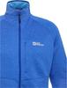 Куртка Jack Wolfskin Taiga FZ Men (A64200) вибрирующий синий