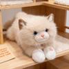 Bebek ve Peluş Oyuncaklar – Doldurulmuş ve Peluş oyuncak hayvanlar