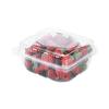 Disposable Transparent Plastic Fruit Container Boxes