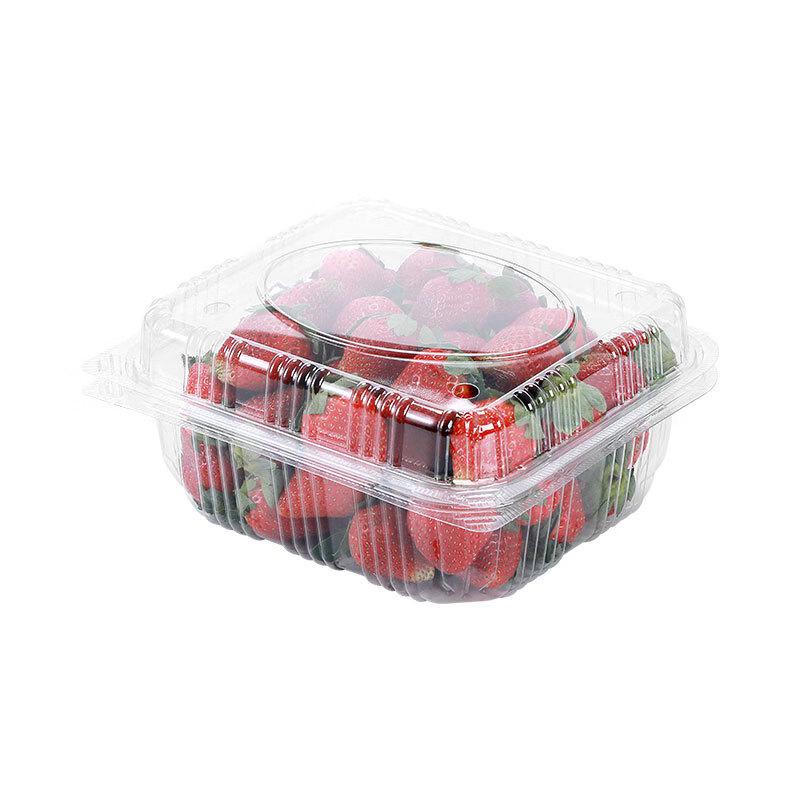 Disposable Transparent Plastic Fruit Container Boxes