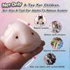 Blobfish Toy, Pull, Stretch and Squeeze Stress, Cute Fish Toy for Anxiety Relief, Funny Cute Sensory Toys for Autism, Birthday, Christmas, Office, Sto
