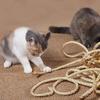 Wear-resistant Sisal Rope Reusable Desk Legs Binding Rope  Paw Claw Protection