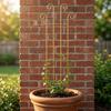 Decorative Garden Plant Trellis Iron Metal Plant Trellis Frame Plant Support Rack  Garden Trellis