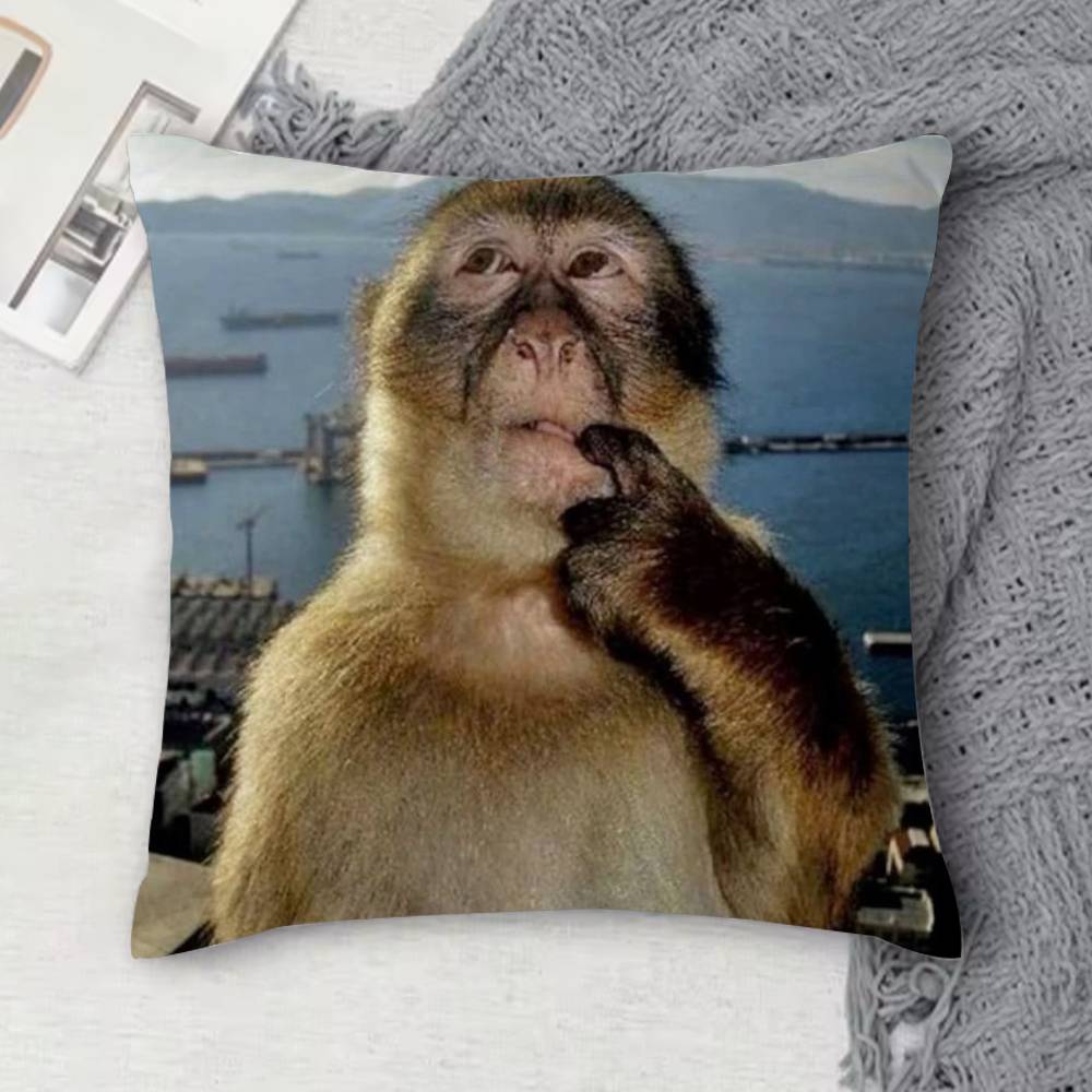 Monkey Music Sipping Meme Doublesided Printed Square Decorative Cushion Cover for Sofa Living Room Home Decor