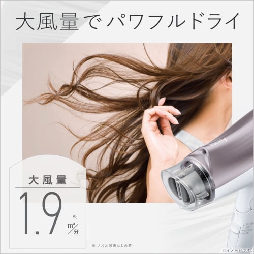 Panasonic Hair Dryer Ionity Quick Drying Large Air Volume Brown Tone EH-NE5G-T