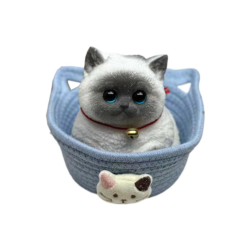 Cute Slow- Stress Toy - Adorable Face, The Perfect Stress Reliever For Lovers.
