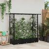 Elevated Planter with Trellis and Hanging Roof Black 164 x 40 x 123 cm PP