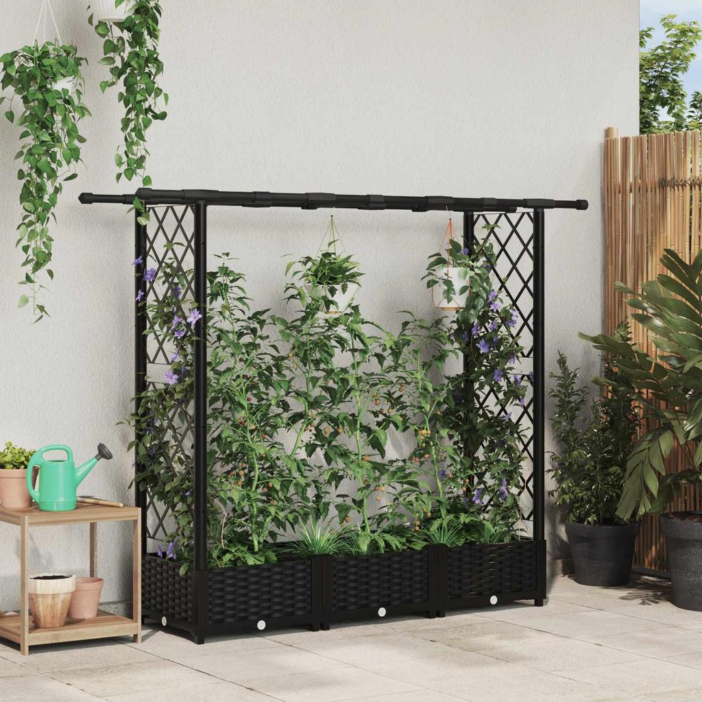 Elevated Planter with Trellis and Hanging Roof Black 164 x 40 x 123 cm PP