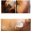 Cartoon Hund Wurfkissen Lebensechtes Tier Sofakissen Stofftiere 3D Hundefiguren Kissen Geschenke