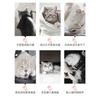 Cat Bag for Outdoor Use, Portable Small Pet, Breathable Dog, Cat, Portable Car Pet Bag