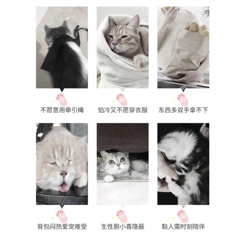 Cat Bag for Outdoor Use, Portable Small Pet, Breathable Dog, Cat, Portable Car Pet Bag